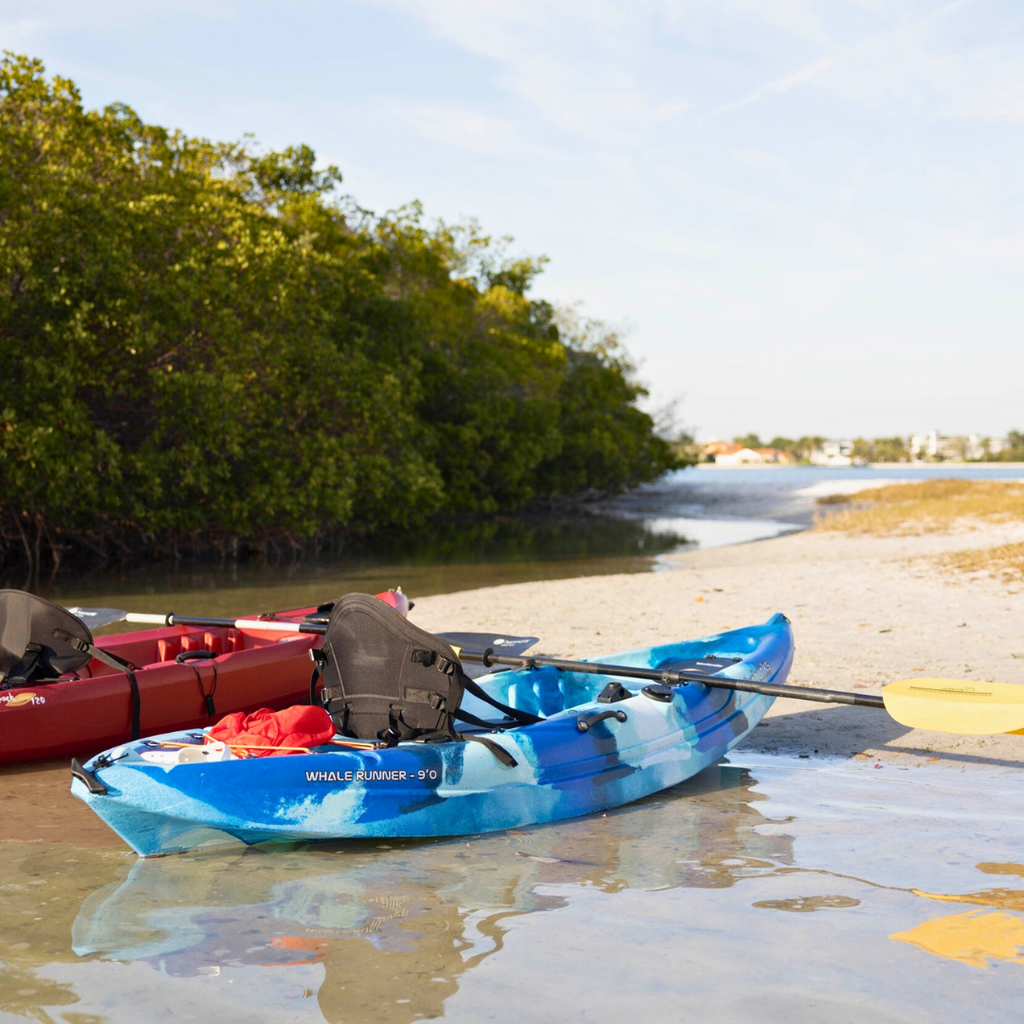 Best Kayaking Spots in Florida